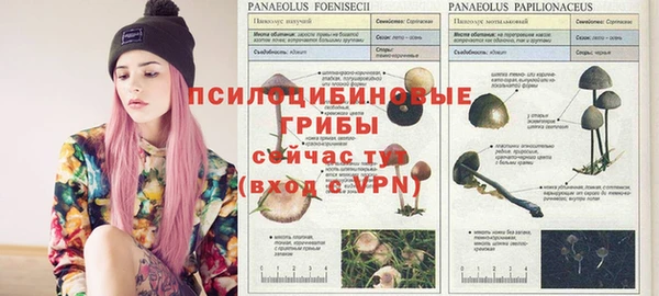 MDMA Premium VHQ Гусь-Хрустальный
