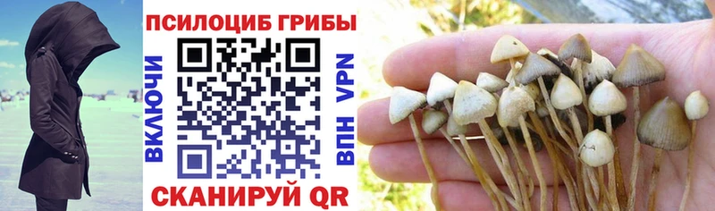 Купить где  Узловая  Галлюциногенные грибы прущие грибы 
